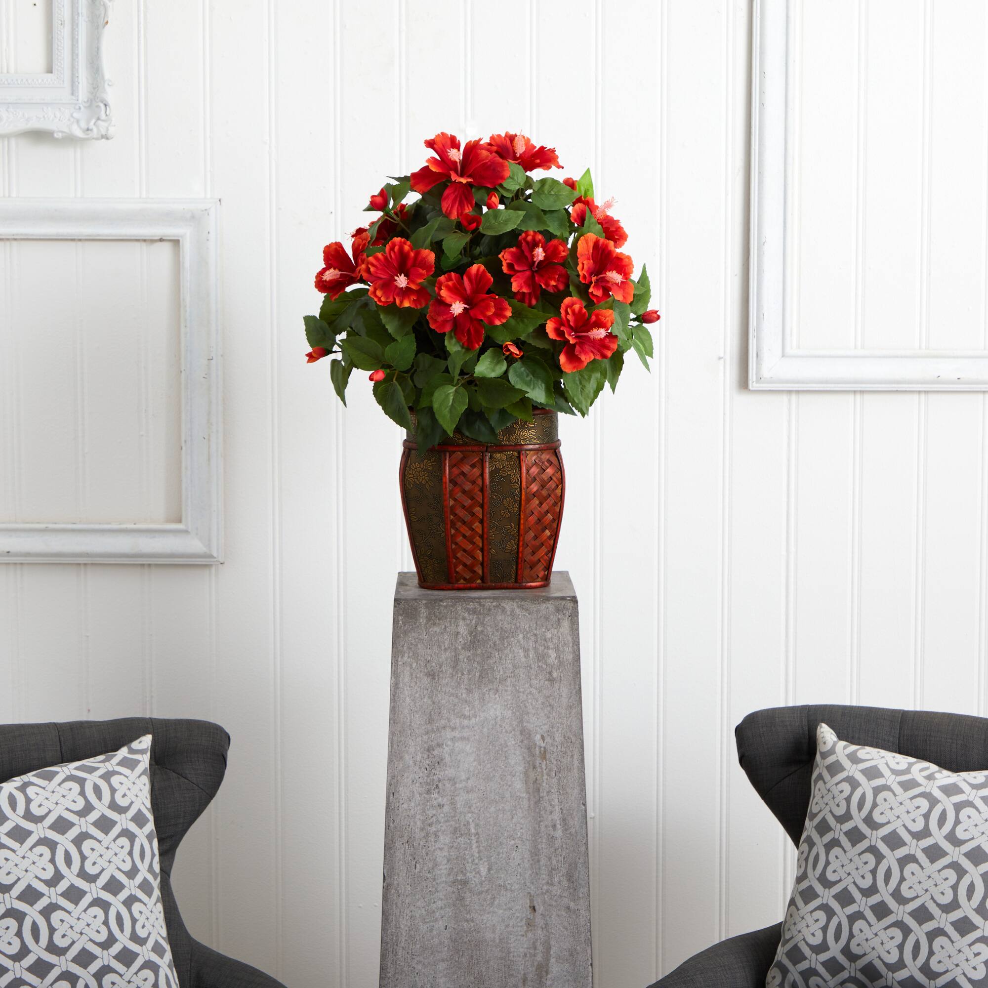 24" Hibiscus Plant in Decorative Planter